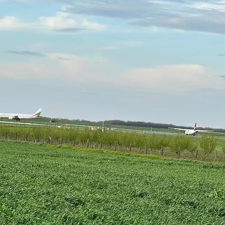 2 Et 1 Salon Pres De L'aeroport De * بلغراد