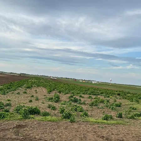 2 Et 1 Salon Près De L'aéroport De Appartamento Belgrado