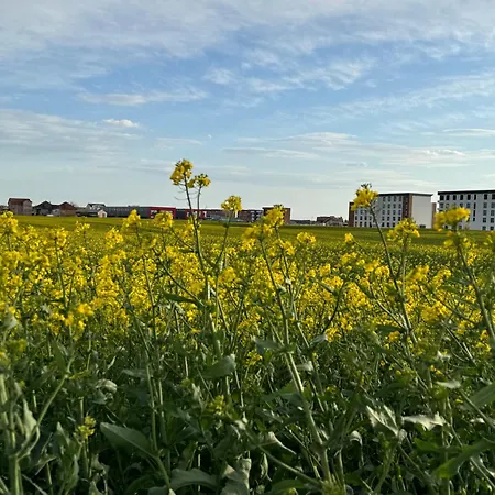 2 Et 1 Salon Près De L'aéroport De Appartamento