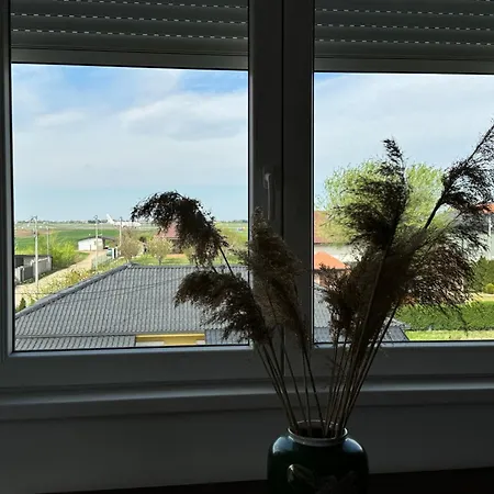 2 Et 1 Salon Pres De L'aeroport De * بلغراد