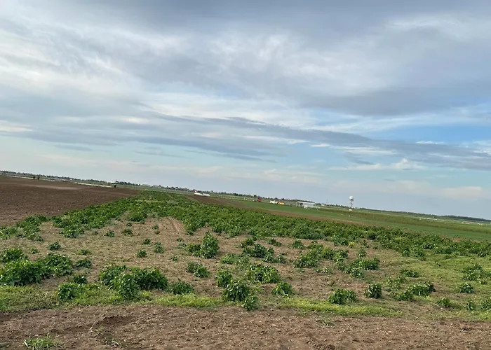 2 Et 1 Salon Pres De L'aeroport De Apartman Belgrád