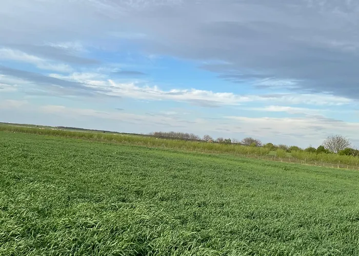 2 Et 1 Salon Pres De L'aeroport De Apartament *