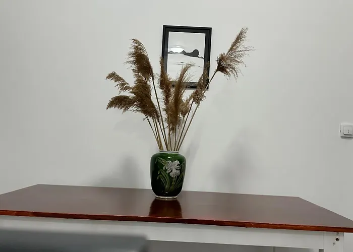 2 Et 1 Salon Pres De L'aeroport De Apartament *