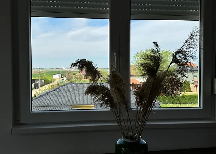 2 Et 1 Salon Pres De L'aeroport De * Belgrád